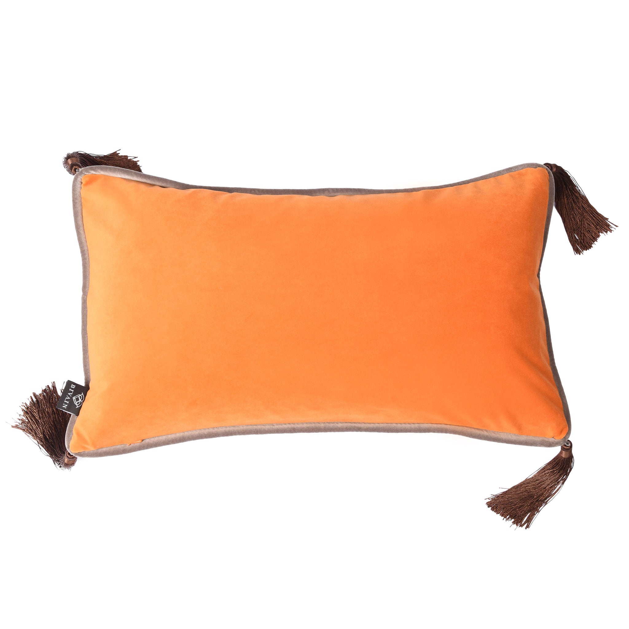 Apricot Orange Velvet Rectangular Cushion with Tassels