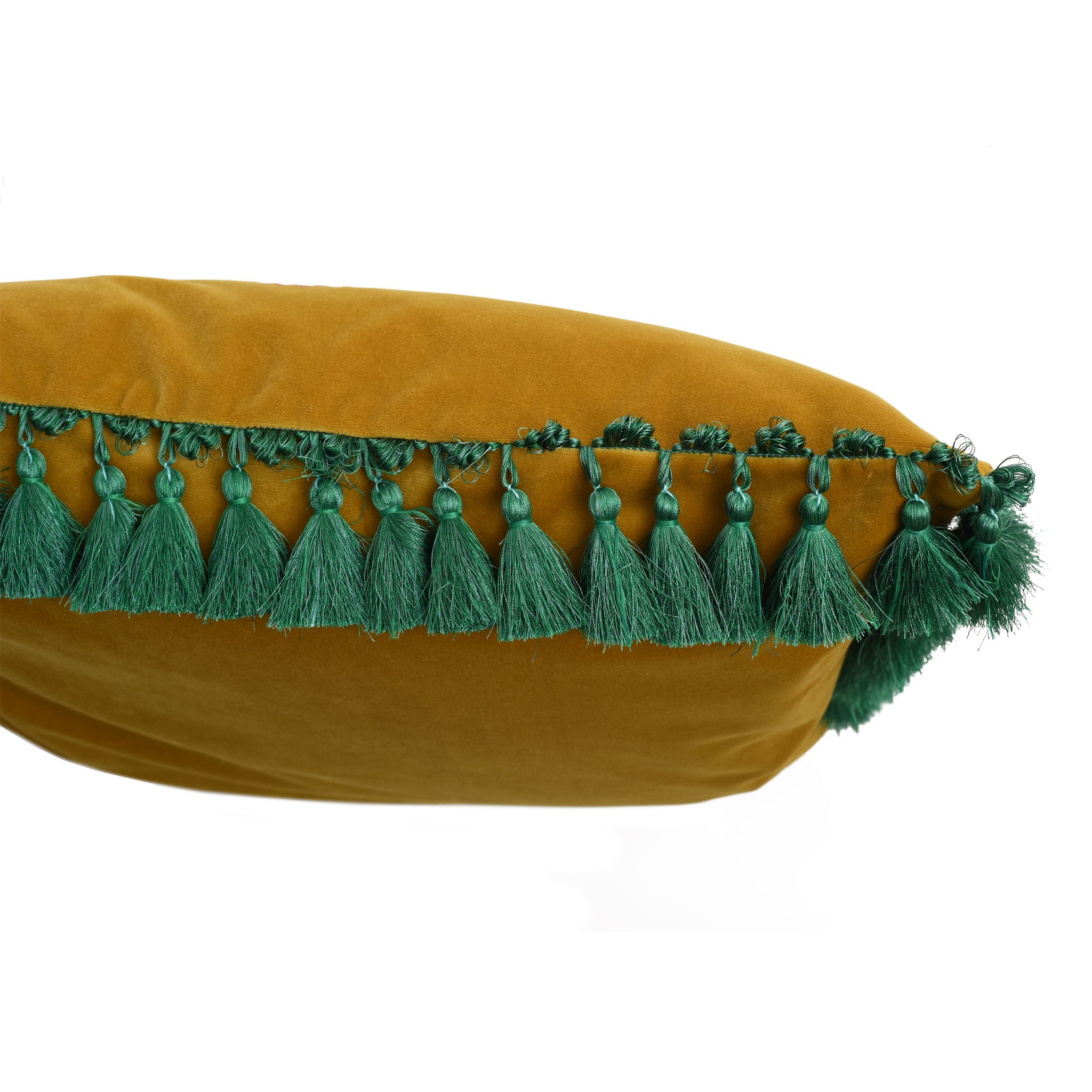 Fish Frida Velvet Cushion