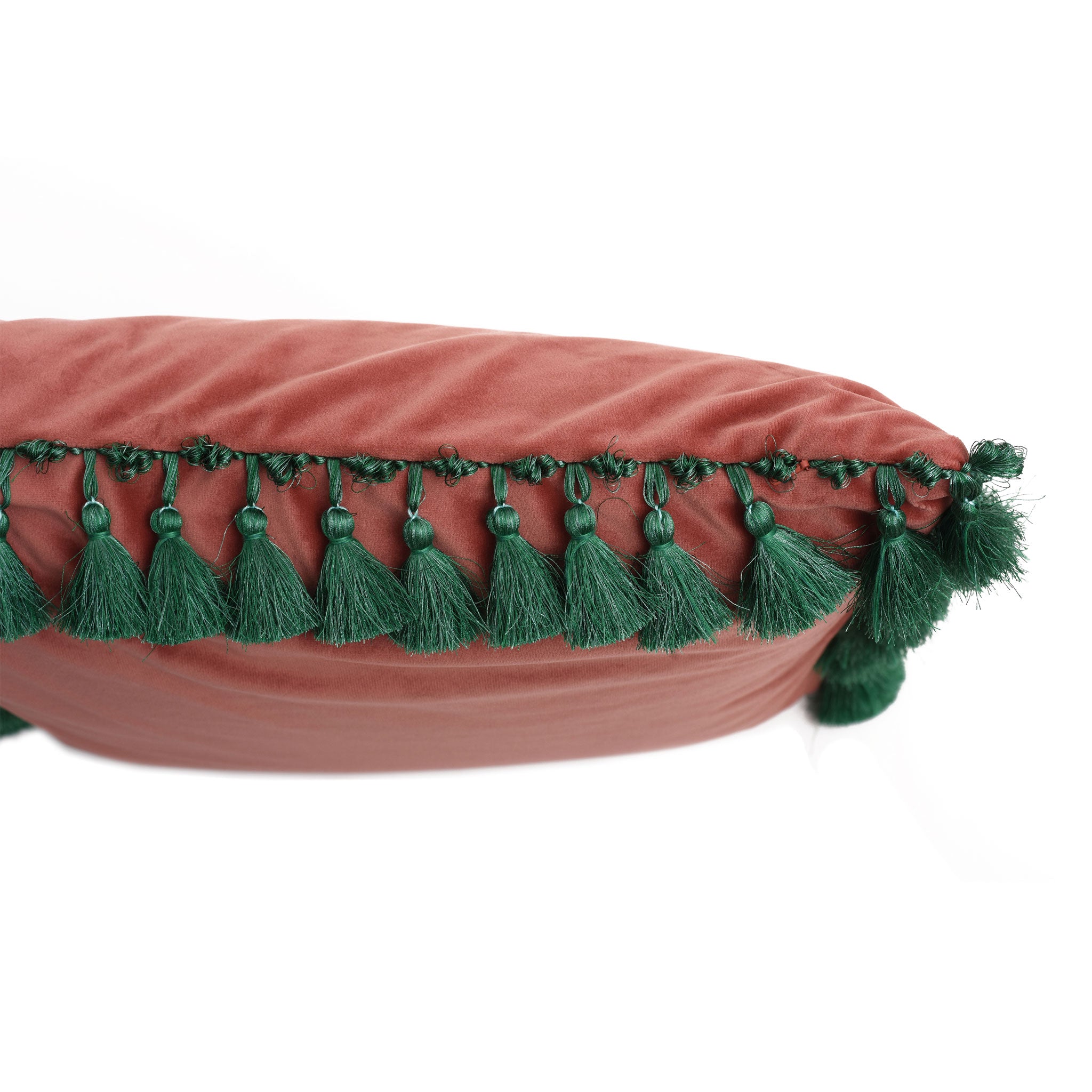 Scarab Velvet Cushion