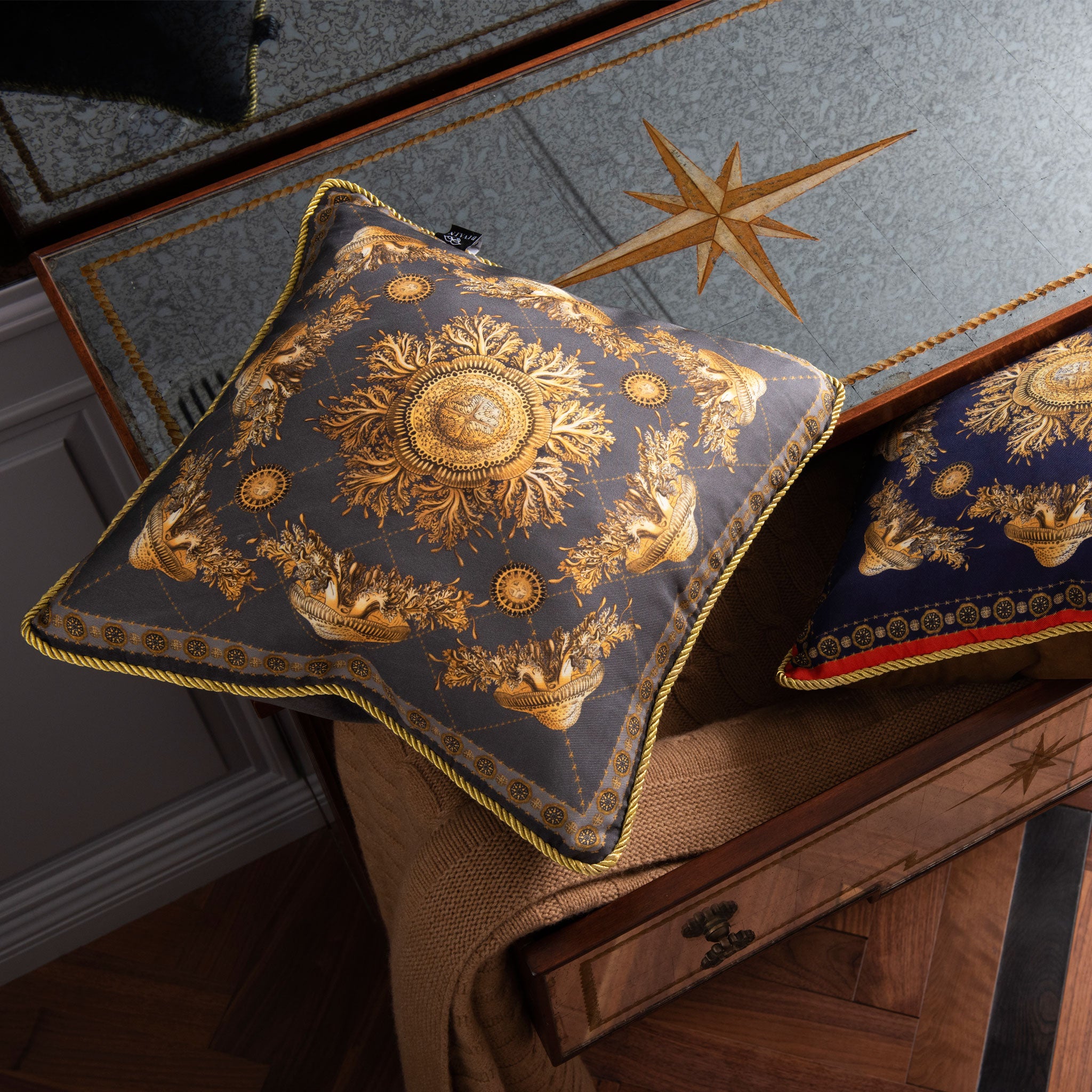 Neptunian Grey Silk Cushion