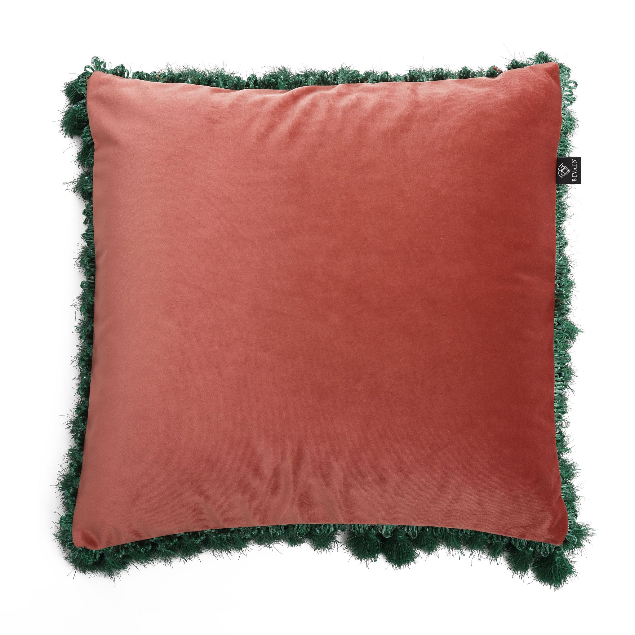Scarab Velvet Cushion