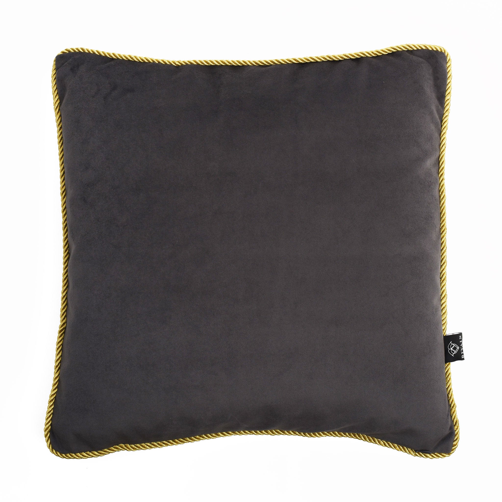 Neptunian Grey Silk Cushion